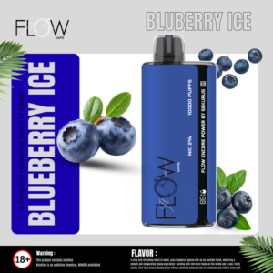 Encore Blueberry Dis 10000puffs 20mg